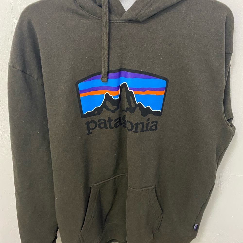 Patagonia hoodie